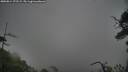 ./images/calvert/fitz-hugh-hecate/20250814/fitz-hugh-hecate20250814_172508M.jpg