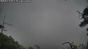 ./images/calvert/fitz-hugh-hecate/20250814/fitz-hugh-hecate20250814_173009M.jpg