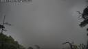 ./images/calvert/fitz-hugh-hecate/20250814/fitz-hugh-hecate20250814_173510M.jpg