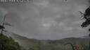./images/calvert/fitz-hugh-hecate/20250814/fitz-hugh-hecate20250814_174010M.jpg