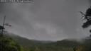 ./images/calvert/fitz-hugh-hecate/20250814/fitz-hugh-hecate20250814_174510M.jpg