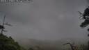 ./images/calvert/fitz-hugh-hecate/20250814/fitz-hugh-hecate20250814_175010M.jpg