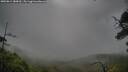 ./images/calvert/fitz-hugh-hecate/20250814/fitz-hugh-hecate20250814_180012M.jpg