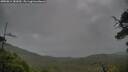 ./images/calvert/fitz-hugh-hecate/20250814/fitz-hugh-hecate20250814_181010M.jpg