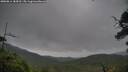 ./images/calvert/fitz-hugh-hecate/20250814/fitz-hugh-hecate20250814_184511M.jpg