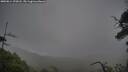 ./images/calvert/fitz-hugh-hecate/20250814/fitz-hugh-hecate20250814_190008M.jpg
