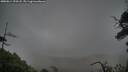 ./images/calvert/fitz-hugh-hecate/20250814/fitz-hugh-hecate20250814_190508M.jpg