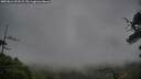 ./images/calvert/fitz-hugh-hecate/20250814/fitz-hugh-hecate20250814_191508M.jpg