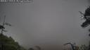 ./images/calvert/fitz-hugh-hecate/20250814/fitz-hugh-hecate20250814_192508M.jpg