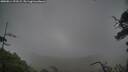 ./images/calvert/fitz-hugh-hecate/20250814/fitz-hugh-hecate20250814_193508M.jpg
