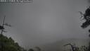 ./images/calvert/fitz-hugh-hecate/20250814/fitz-hugh-hecate20250814_194009M.jpg