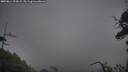 ./images/calvert/fitz-hugh-hecate/20250814/fitz-hugh-hecate20250814_194509M.jpg