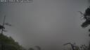 ./images/calvert/fitz-hugh-hecate/20250814/fitz-hugh-hecate20250814_195008M.jpg