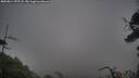 ./images/calvert/fitz-hugh-hecate/20250814/fitz-hugh-hecate20250814_195507M.jpg