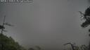 ./images/calvert/fitz-hugh-hecate/20250814/fitz-hugh-hecate20250814_200007M.jpg