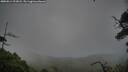 ./images/calvert/fitz-hugh-hecate/20250814/fitz-hugh-hecate20250814_203008M.jpg
