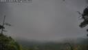 ./images/calvert/fitz-hugh-hecate/20250814/fitz-hugh-hecate20250814_203509M.jpg
