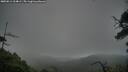 ./images/calvert/fitz-hugh-hecate/20250814/fitz-hugh-hecate20250814_204009M.jpg