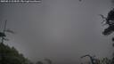 ./images/calvert/fitz-hugh-hecate/20250814/fitz-hugh-hecate20250814_204509M.jpg