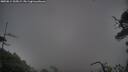 ./images/calvert/fitz-hugh-hecate/20250814/fitz-hugh-hecate20250814_205009M.jpg
