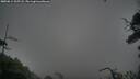 ./images/calvert/fitz-hugh-hecate/20250814/fitz-hugh-hecate20250814_205508M.jpg