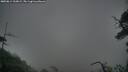 ./images/calvert/fitz-hugh-hecate/20250814/fitz-hugh-hecate20250814_210009M.jpg
