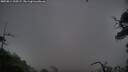 ./images/calvert/fitz-hugh-hecate/20250814/fitz-hugh-hecate20250814_210506M.jpg