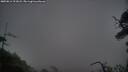 ./images/calvert/fitz-hugh-hecate/20250814/fitz-hugh-hecate20250814_211008M.jpg