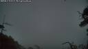 ./images/calvert/fitz-hugh-hecate/20250814/fitz-hugh-hecate20250814_211509M.jpg