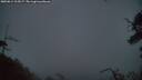 ./images/calvert/fitz-hugh-hecate/20250814/fitz-hugh-hecate20250814_212007M.jpg