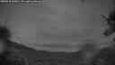 ./images/calvert/fitz-hugh-hecate/20250815/fitz-hugh-hecate20250815_060011M.jpg