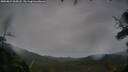 ./images/calvert/fitz-hugh-hecate/20250815/fitz-hugh-hecate20250815_065009M.jpg