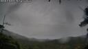 ./images/calvert/fitz-hugh-hecate/20250815/fitz-hugh-hecate20250815_065510M.jpg