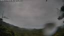 ./images/calvert/fitz-hugh-hecate/20250815/fitz-hugh-hecate20250815_070510M.jpg