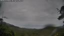 ./images/calvert/fitz-hugh-hecate/20250815/fitz-hugh-hecate20250815_071010M.jpg