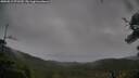 ./images/calvert/fitz-hugh-hecate/20250815/fitz-hugh-hecate20250815_072510M.jpg