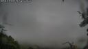 ./images/calvert/fitz-hugh-hecate/20250815/fitz-hugh-hecate20250815_073010M.jpg