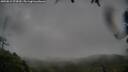 ./images/calvert/fitz-hugh-hecate/20250815/fitz-hugh-hecate20250815_074510M.jpg