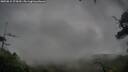 ./images/calvert/fitz-hugh-hecate/20250815/fitz-hugh-hecate20250815_075010M.jpg