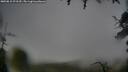 ./images/calvert/fitz-hugh-hecate/20250815/fitz-hugh-hecate20250815_075509M.jpg