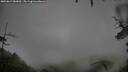 ./images/calvert/fitz-hugh-hecate/20250815/fitz-hugh-hecate20250815_080012M.jpg