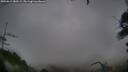 ./images/calvert/fitz-hugh-hecate/20250815/fitz-hugh-hecate20250815_080508M.jpg