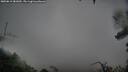 ./images/calvert/fitz-hugh-hecate/20250815/fitz-hugh-hecate20250815_081010M.jpg