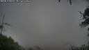 ./images/calvert/fitz-hugh-hecate/20250815/fitz-hugh-hecate20250815_081510M.jpg