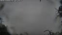 ./images/calvert/fitz-hugh-hecate/20250815/fitz-hugh-hecate20250815_082009M.jpg