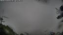 ./images/calvert/fitz-hugh-hecate/20250815/fitz-hugh-hecate20250815_082510M.jpg