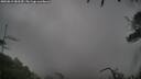 ./images/calvert/fitz-hugh-hecate/20250815/fitz-hugh-hecate20250815_083510M.jpg