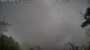 ./images/calvert/fitz-hugh-hecate/20250815/fitz-hugh-hecate20250815_084511M.jpg