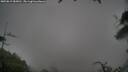 ./images/calvert/fitz-hugh-hecate/20250815/fitz-hugh-hecate20250815_085011M.jpg