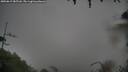 ./images/calvert/fitz-hugh-hecate/20250815/fitz-hugh-hecate20250815_085510M.jpg